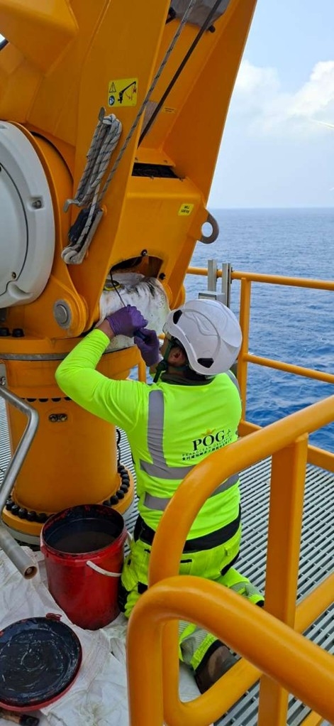 Crane system maintenance
